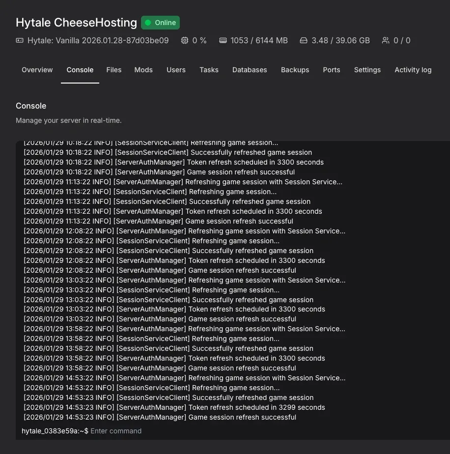 Hytale server management