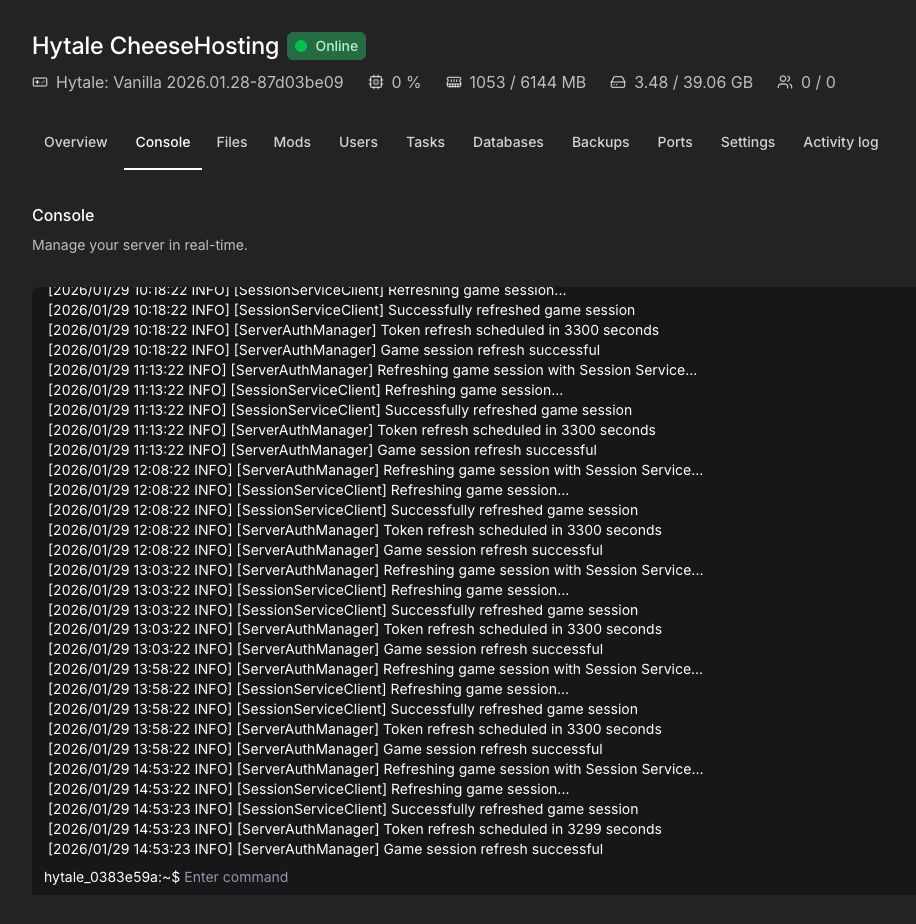 Hytale server management