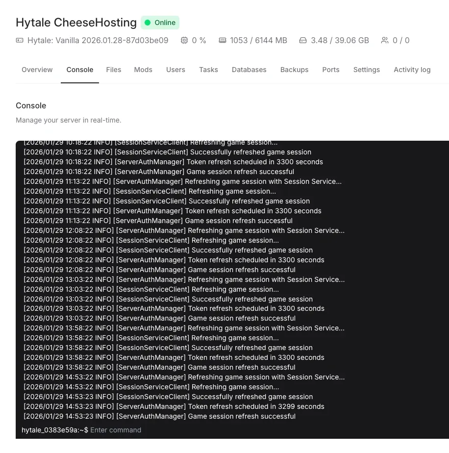 Hytale server management