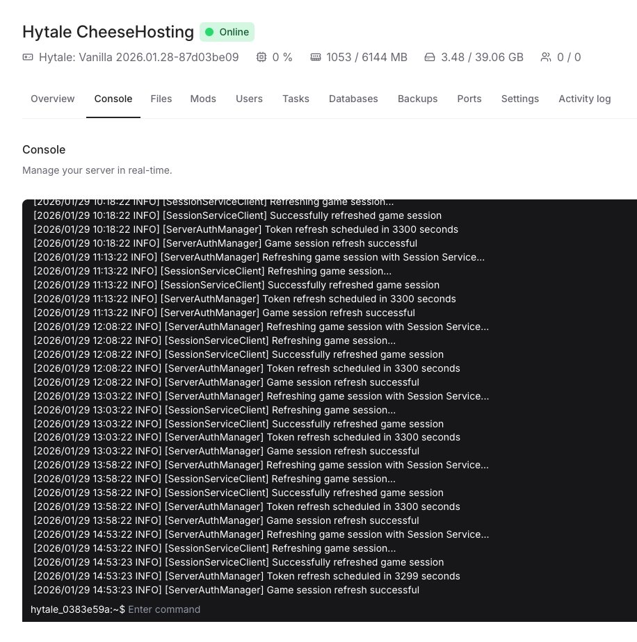 Hytale server management
