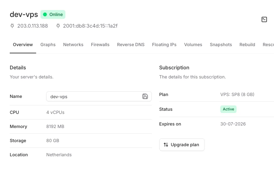 VPS management in the CheeseHosting control panel
