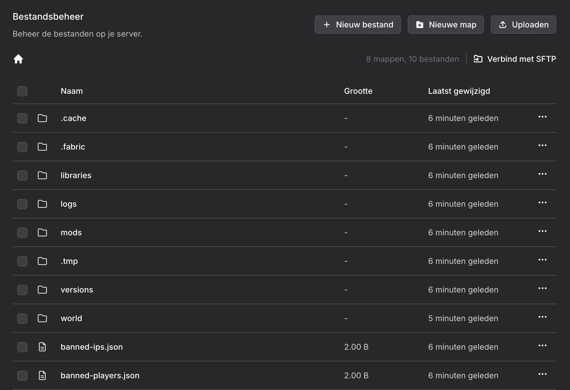 Minecraft server bestandsbeheer