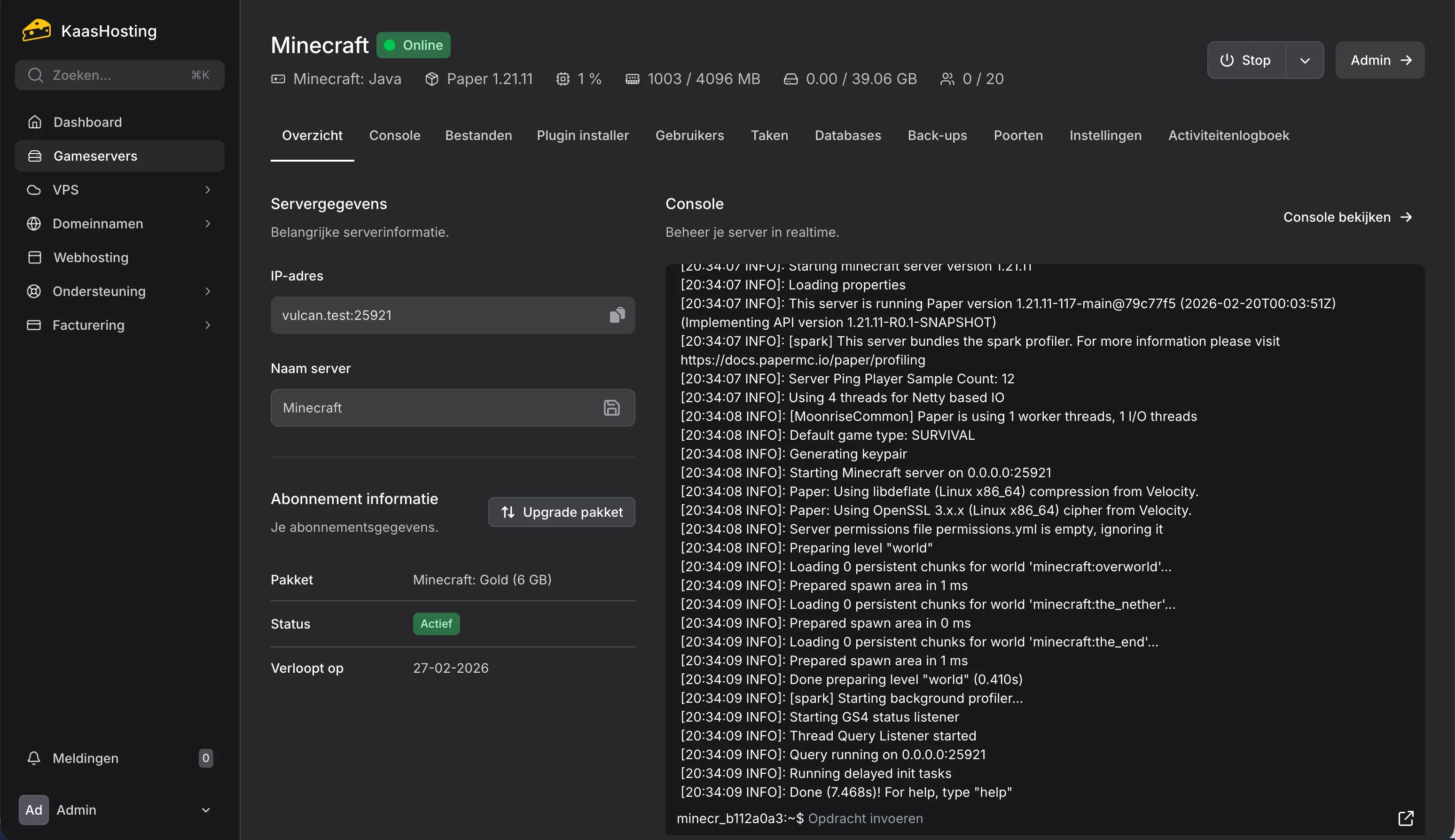Minecraft server realtime console