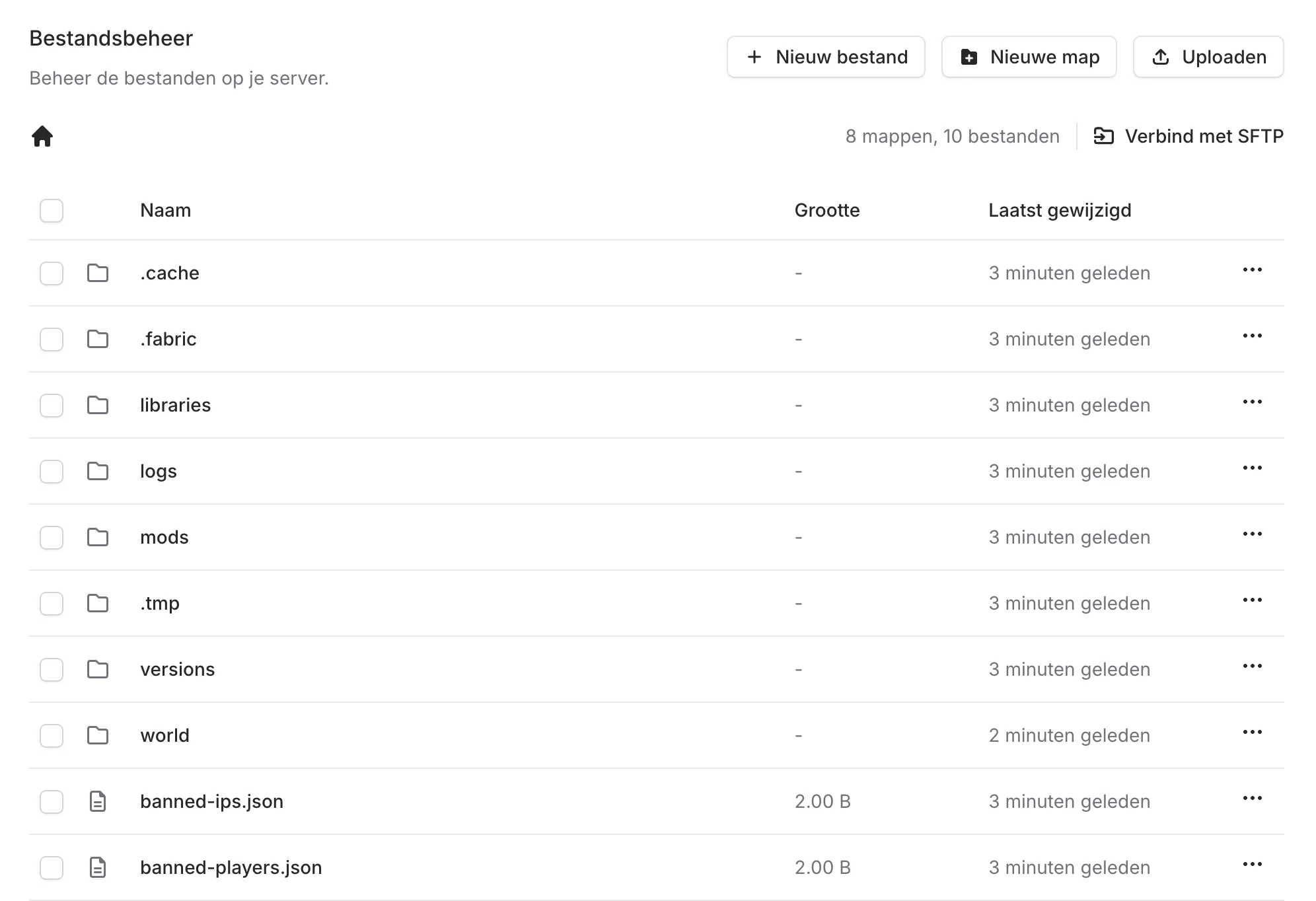 Minecraft server bestandsbeheer